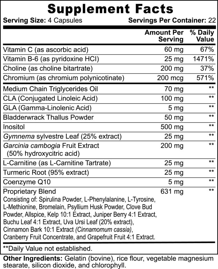 Fat Burner - Image 5